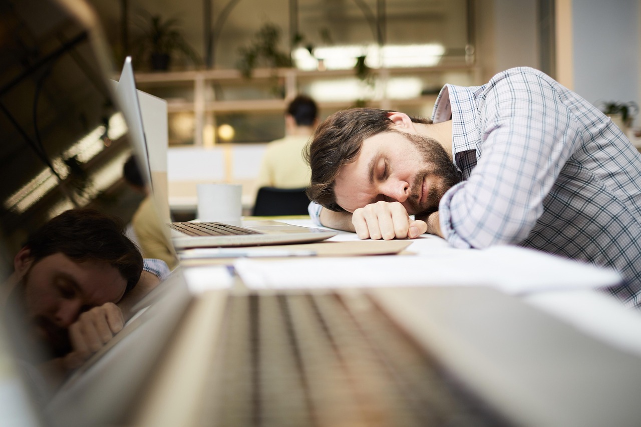 Critical ‘Must Haves’ When Beginning A Small Company