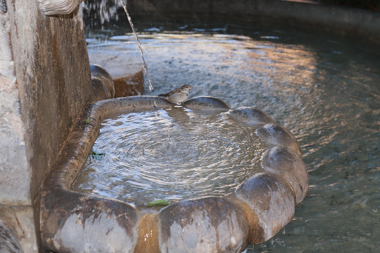 Water feature, fountain, bird — What is the distinction between cage-guided as well as full enhanced deep groove round bearin